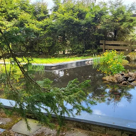Bergwichtel Hahnenklee Super Aussicht Apartment *